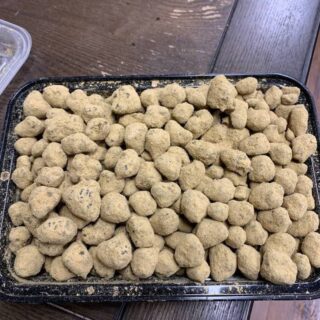 Moon rocks