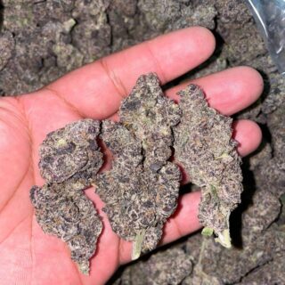 Galaxy Runtz Strain