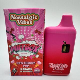 Nostalgic Vibes Disposable