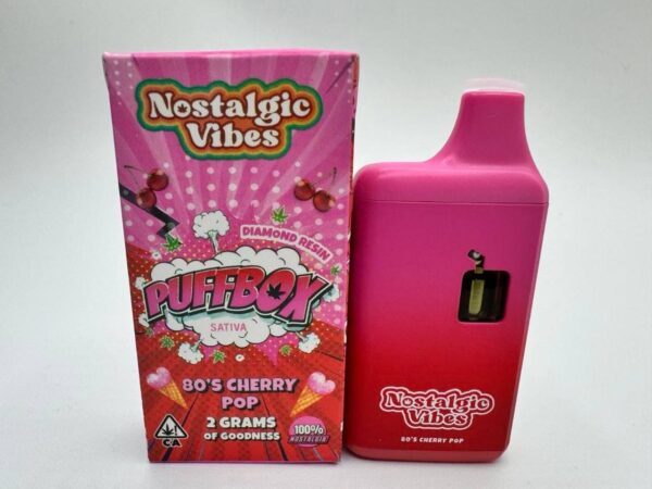 Nostalgic Vibes Disposable