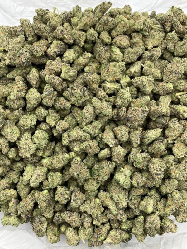 Garlic Truffles Strain