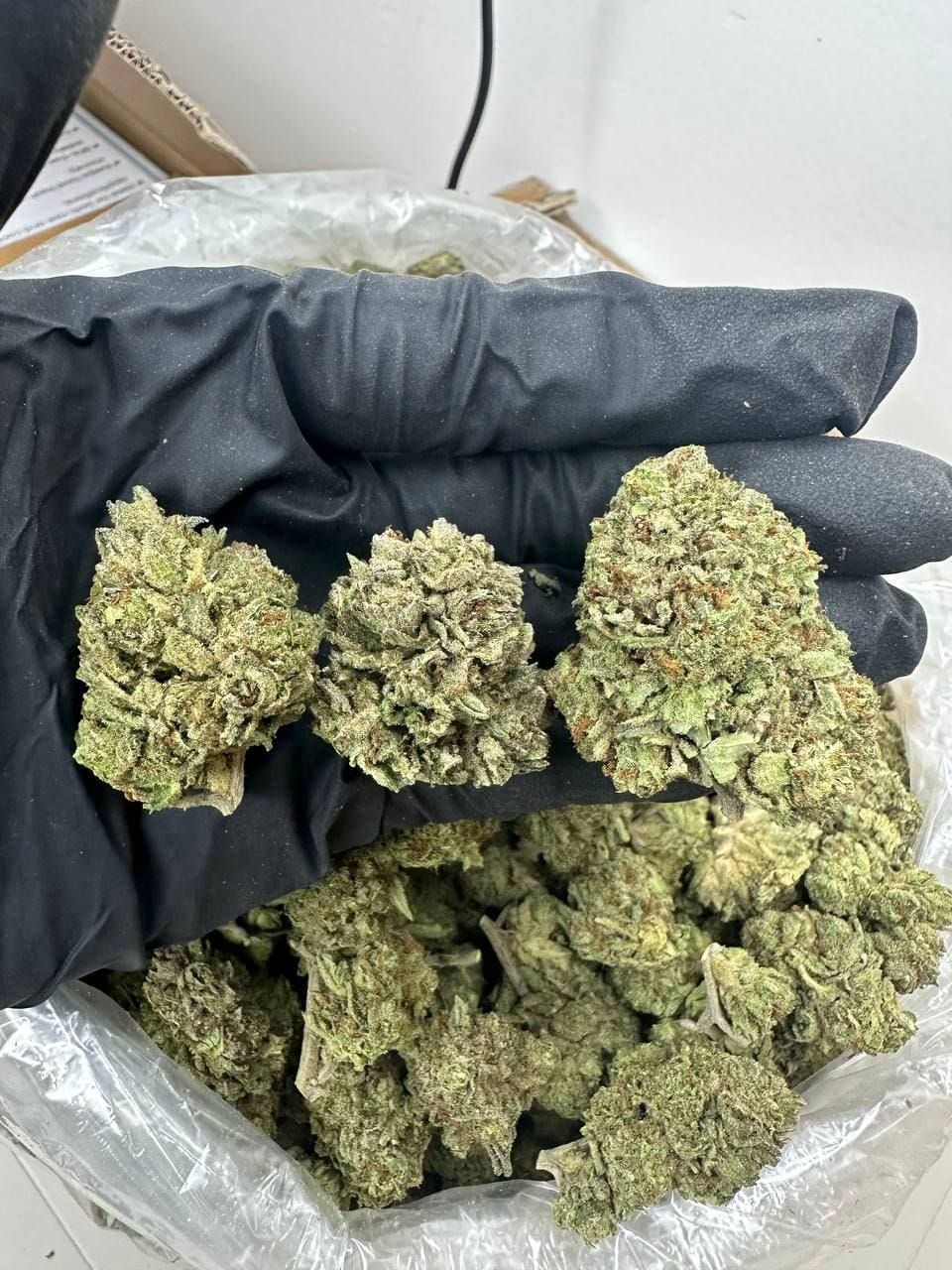 Hindu Kush Strain Liveresindisposablevapes