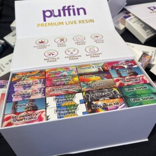 Puffin Disposable