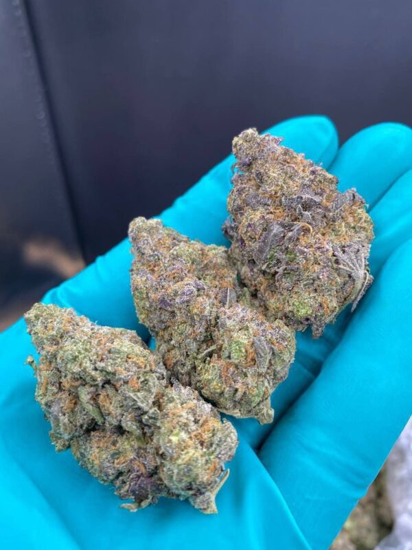 Sunset Mac Strain - Image 2