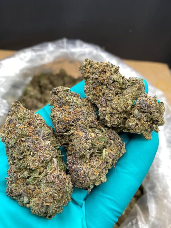 Sunset Mac Strain