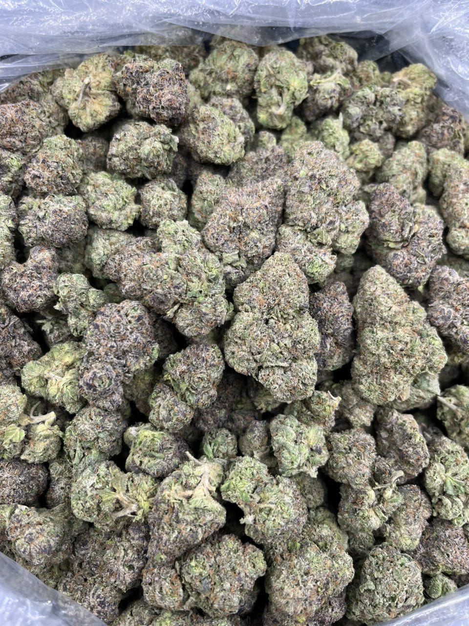 Rainbow Belts Strain