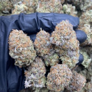 Purple Bubba Weed Strain