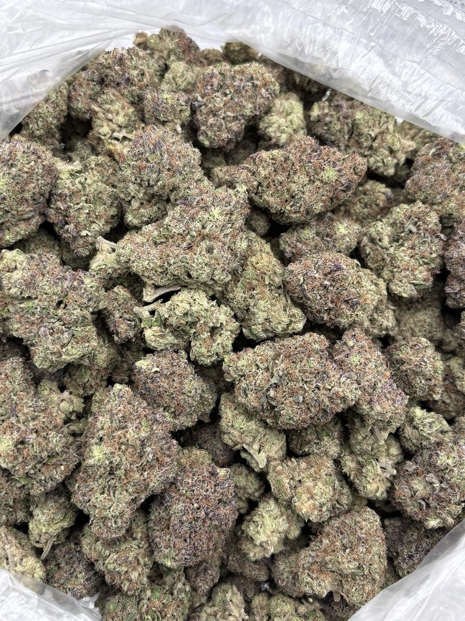 Garlic Grapes Strain