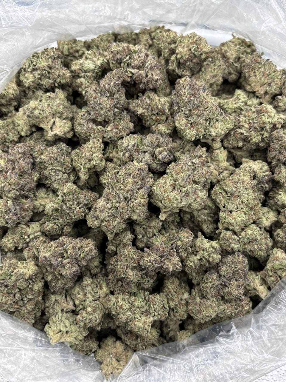 Sundae Driver Strain