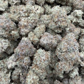 Purple Dump Truck Strain